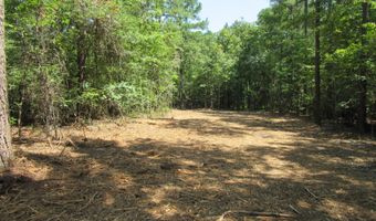 6 1 Acres Frazier Rd, Bailey, NC 27807