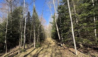 V/L Wildwood Road lot 9, Alger, MI 48610