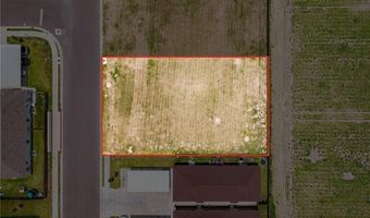 812 W Sunset Valley St, Alton, TX 78573
