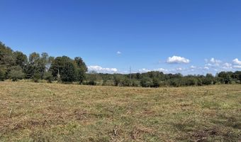 2859 B Brashiers Chapel Rd, Arab, AL 35016