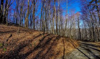 Little Tree Lane, Banner Elk, NC 28604