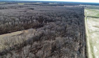 6075 Curtis Rd, Batesville, MS 38606