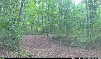 4814 NW 244 Ave, Alachua, FL 32615