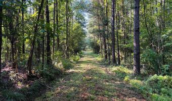 1550 Dennis Smith Rd, Brookhaven, MS 39601