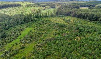 62- Acres Grandmas Hill Rd, Amherst, VA 24521