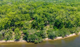 SW 17th St, Bell, FL 32619