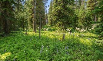 441 Red Lion Rd, Anaconda, MT 59711