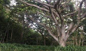 Kamehameha Highway lot 38, Haleiwa, HI 96712