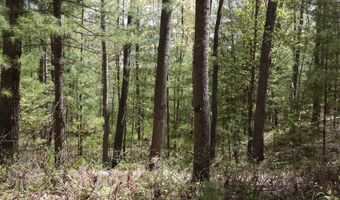 5826 S Morrison Rd, Alger, MI 48610