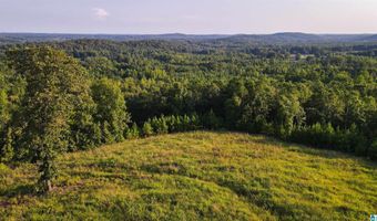 200 TABLEE LANE Lot 17.65, Ashland, AL 36251