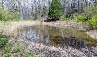 192 Mo 19, Alton, MO 65606