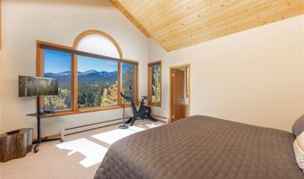 1139 BOREAS PASS Rd, Breckenridge, CO 80424