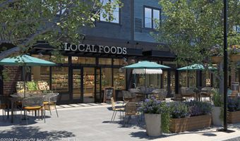 140 Basalt Center Cir 309, Basalt, CO 81621