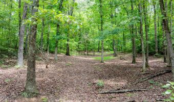 4180 Kingsport Hwy, Afton, TN 37616