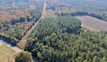 TBD Binnicker Bridge Road, Bamberg, SC 29003