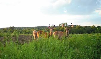22 Hwy, Adamsville, TN 38310