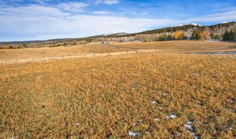 125 YELLOW ROSE Dr, Alta, WY 83414