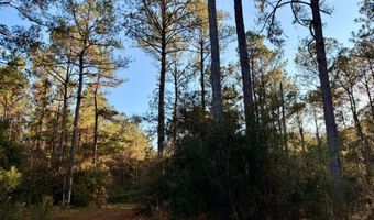 0 King Ln, Bay Minette, AL 36507