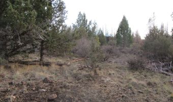 Polar Bear Lane lot 3, Bonanza, OR 97623