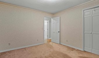 29451 Old School House Rd, Ardmore, AL 35739