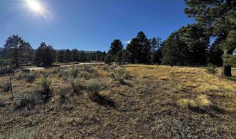 1290 Torrey Pines Ln, Angel Fire, NM 87710