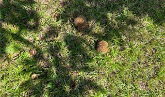 County Road 15, Bankston, AL 35542