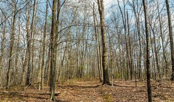 E Captina Highway Road, Alledonia, OH 43902