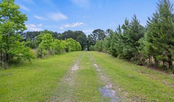 191 Marion Woods Trl, Bonneau, SC 29431