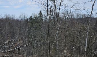 295 Shellstone Rd, Amsterdam, NY 12010