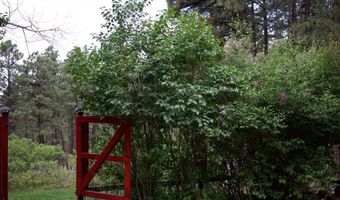 954 Pine Tree Dr, Bayfield, CO 81122