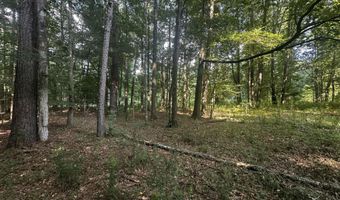 137 Shorter Rd, Braxton, MS 39044