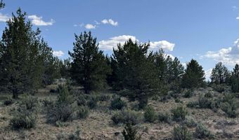 HWY 140 300, Beatty, OR 97621