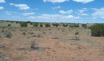 Tbd Ranch of the White Mountains, Concho, AZ 85924