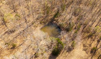 1079 Ff Hwy, Alton, MO 65606