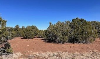 44 County Road 8114, Concho, AZ 85924