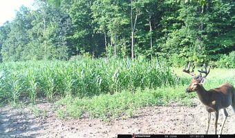 6305 W US Highway 223, Adrian, MI 49221