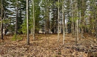 4535 River Lane St, Alger, MI 48610