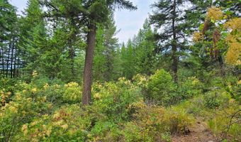 1754 Giles Connection Rd, Bonners Ferry, ID 83805