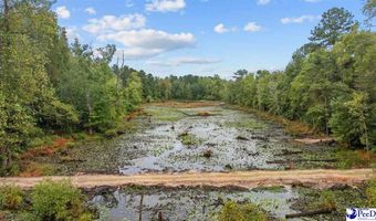 TBD Beverly Creek Rd, Bennettsville, SC 29512