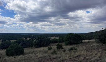 460 461 CR8301, Concho, AZ 85924