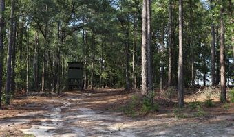 2631 Charlie Johnson Rd, Bethune, SC 29009