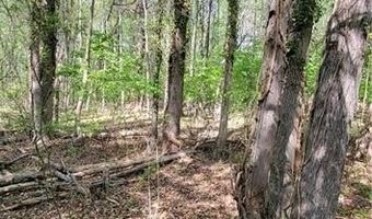 1642 R2 Kersey Valley Rd, Archdale, NC 27265
