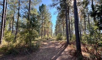 TBD Binnicker Bridge Road, Bamberg, SC 29003