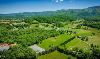 705 Union Chapel Rd, Afton, TN 37616