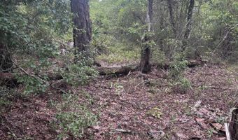 Abraham Street, Alford, FL 32420