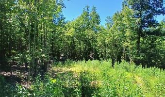 0000000 Easement, Annapolis, MO 63620