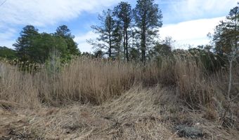 Lot 1 TBD MUDDY NECK ROAD, Frankford, DE 19945