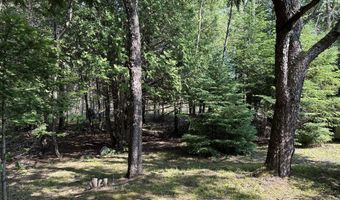 7763 Lagoon Dr, Alanson, MI 49706