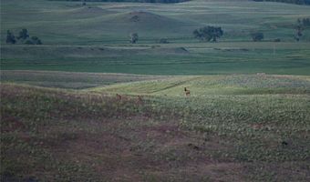 287 Spring Creek Rd, Absarokee, MT 59001