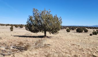 True Grit lot 55A, Ash Fork, AZ 86320
